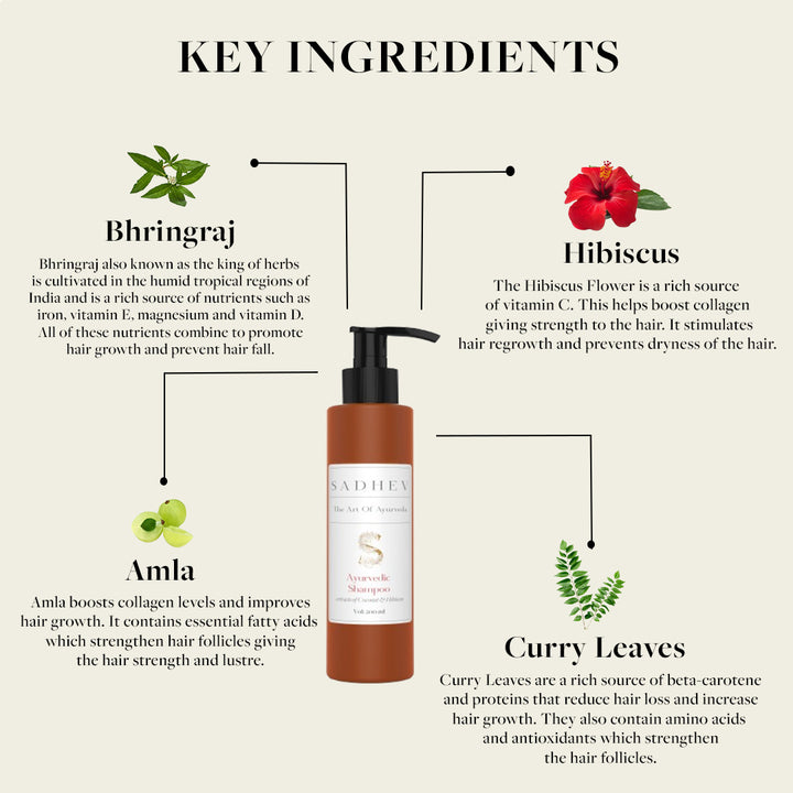 Ayurvedic Shampoo