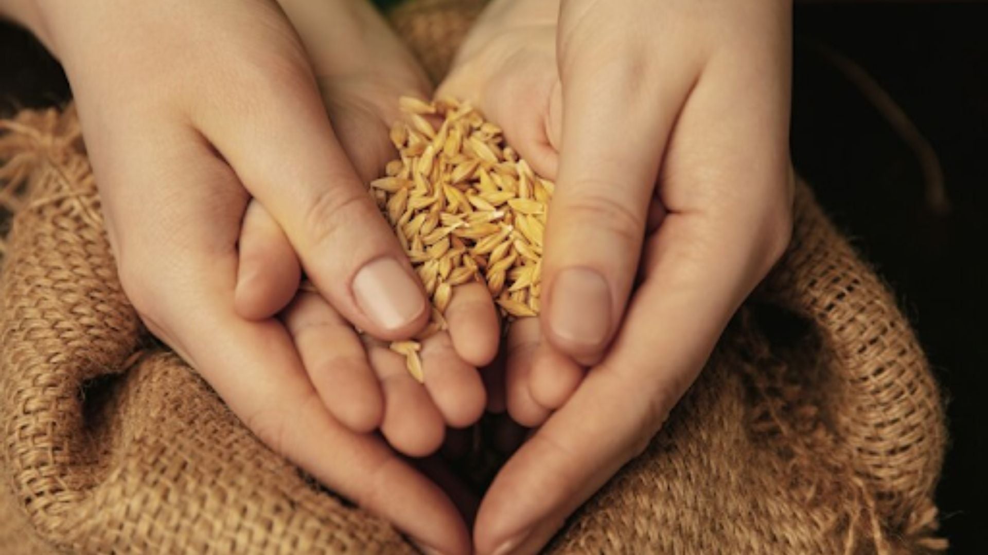 5 Surprising Benefits Of Wheat Germ For Skin