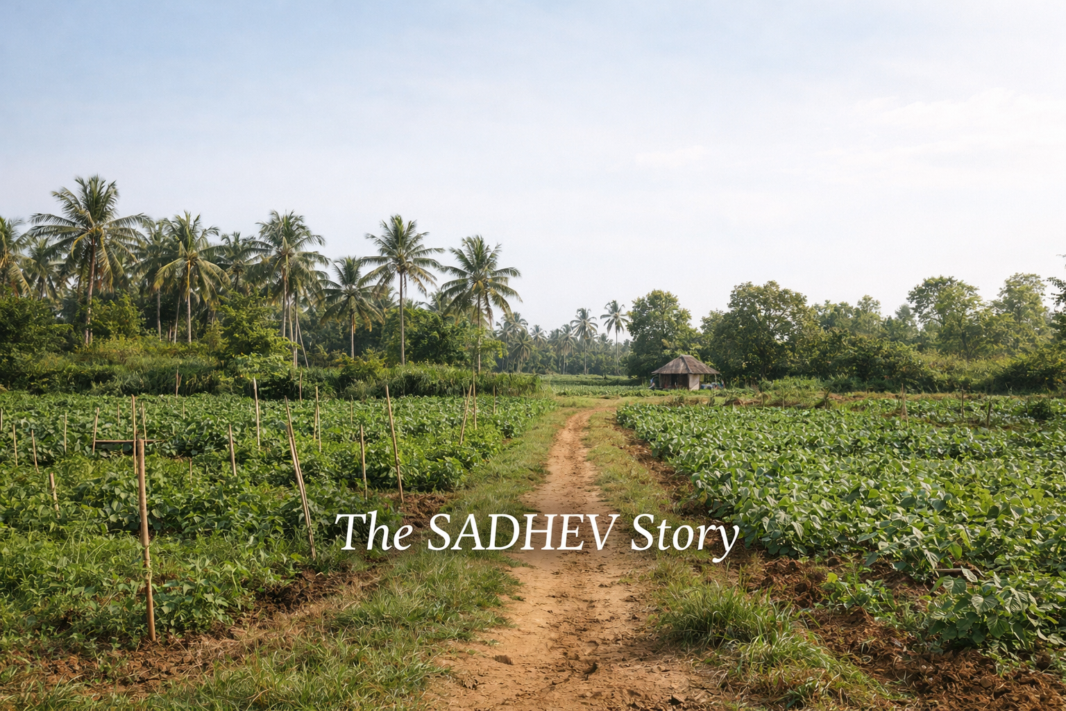 When Ayurveda Is in the Bloodline — The SADHEV Story