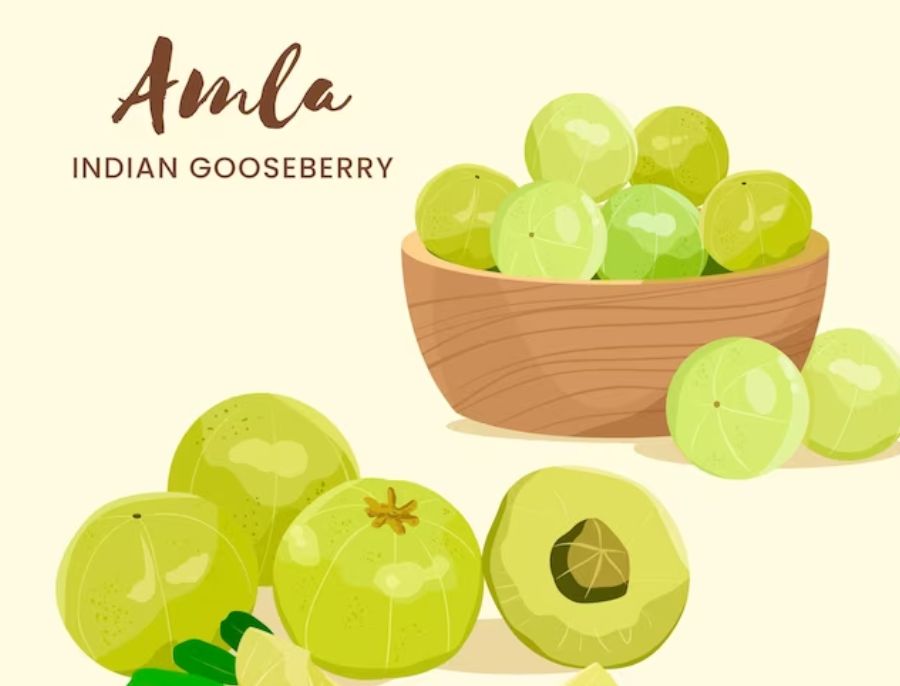 Amla: The Indian Gooseberry And Its Role in Ayurvedic Healing