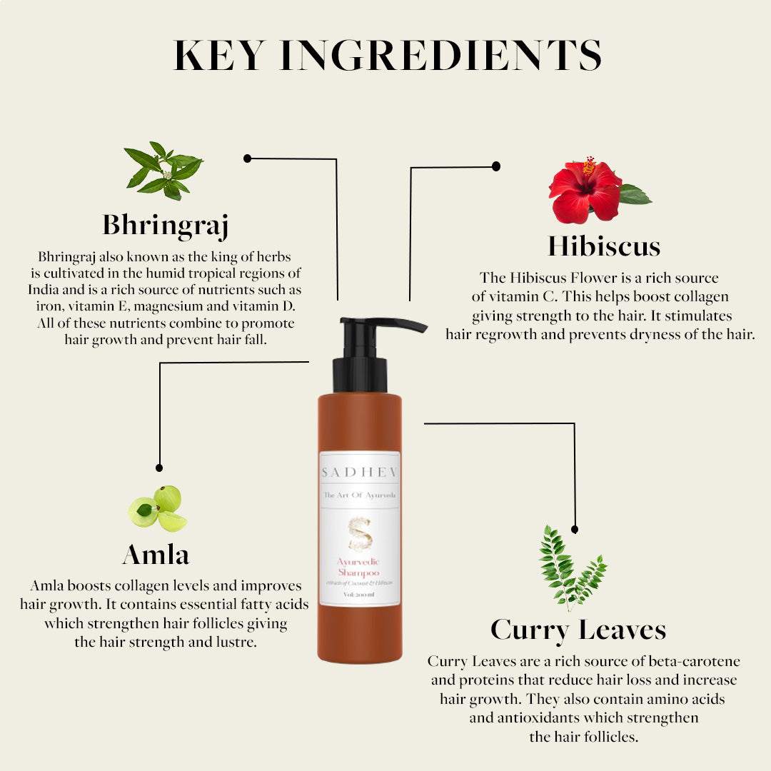 Ayurvedic Shampoo